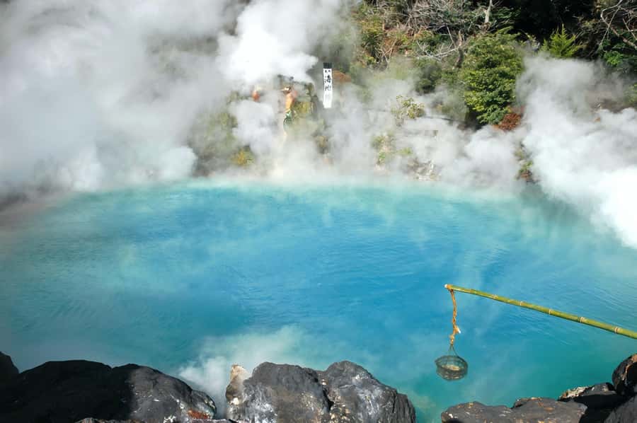Fukuoka: Beppu Hells HotSpring, Frog Temple & Yufuin DayTrip - Who Should Book This Kyushu Day Trip?