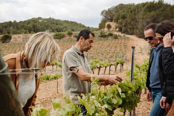 Full-Day Trip Barcelona to Montserrat Monastery & Cava Winery - Is $216.56 a fair price?