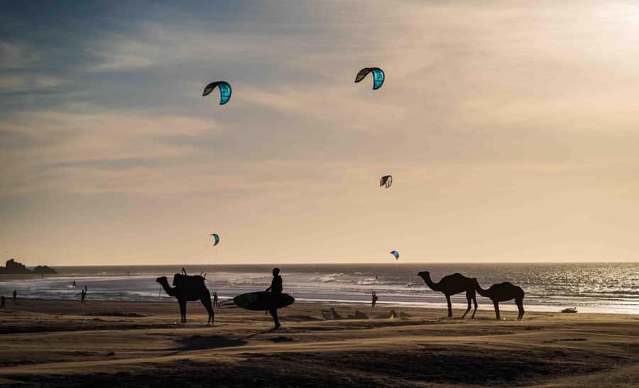Full Day Trip From Marrakech To Essaouira - The argan oil factory stop
