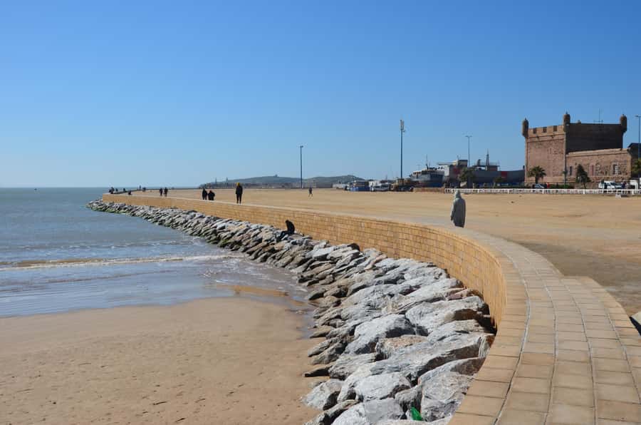 Full Day Trip From Marrakech To Essaouira - The return journey and timing risks