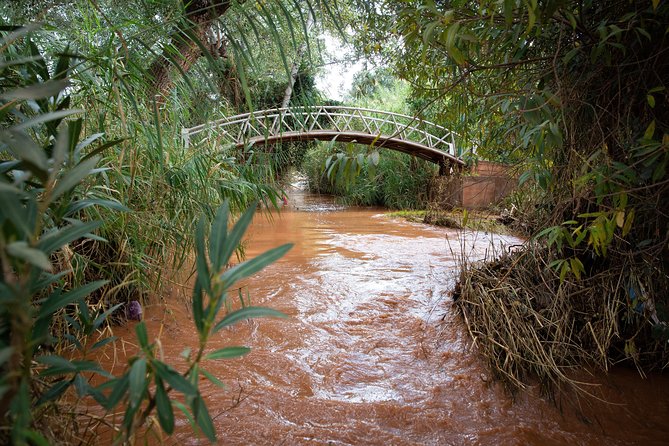 Full Day Trip To Ouzoud Waterfalls From Marrakech & Boat Tour - The traditional boat ride below the falls
