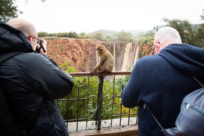 Full Day Trip To Ouzoud Waterfalls From Marrakech & Boat Tour - Choosing the right season and physical pace