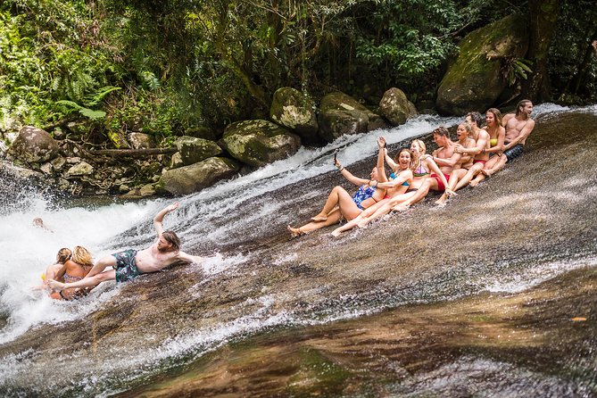 Fun, Falls and Forests Day Trip from Cairns - Key things to know before you book