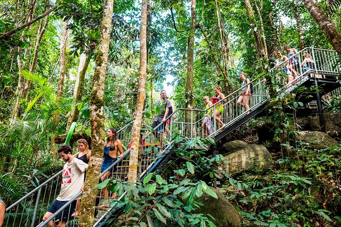 Fun, Falls and Forests Day Trip from Cairns - The Falls Teahouse: a welcome food break