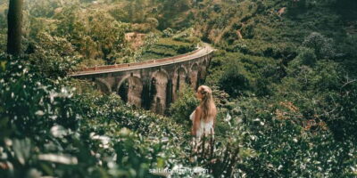 Galle/Weligama/Mirissa/Hiriketiya/Tangalle: Day Trip to Ella