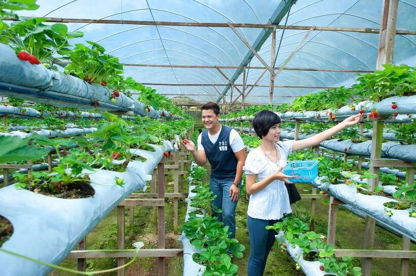 Genting Highland: Private Day Trip from Kuala Lumpur - Four hours at Awana and Genting Highlands