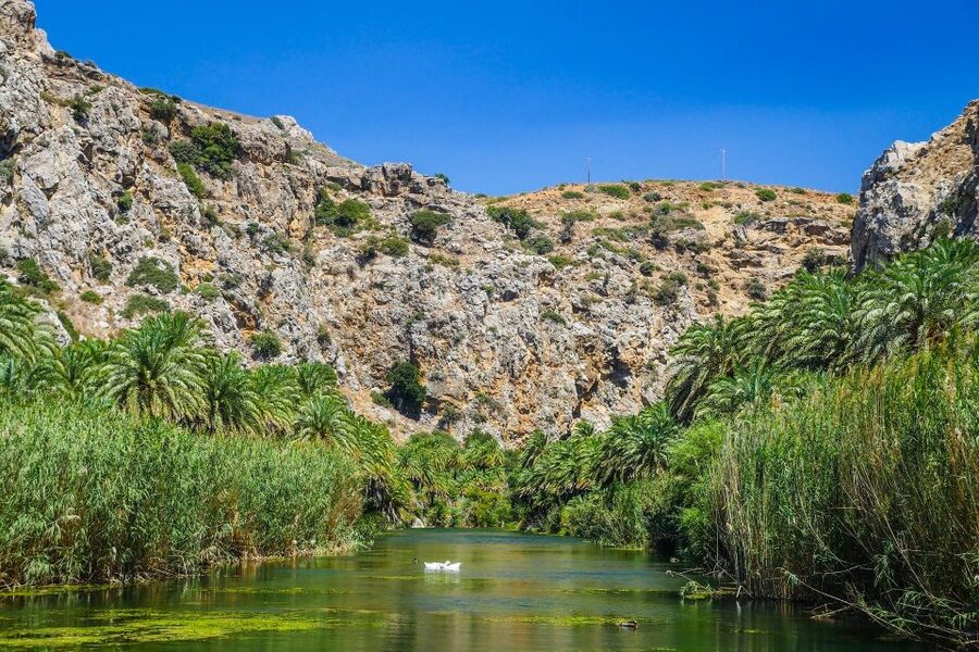 Georgioupolis: Preveli Palm Beach Day Trip by Bus and Boat - Two hours beside the palm forest