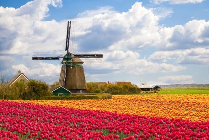 Giethoorn, Zaanse Schans Windmills Guided Day Trip from Amsterdam - Key points at a glance