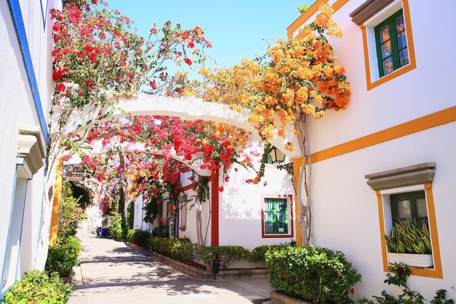 Gran Canaria: Puerto de Mogán Local Market Day Trip - Why Puerto de Mogán makes a good half-day outing