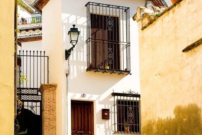 Granada Day Trip with Alhambra and Albaicin Tour from Seville - Should you book it?