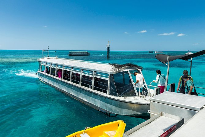 Green Island Day Trip from Cairns - Crew Help and Day-to-Day Organization