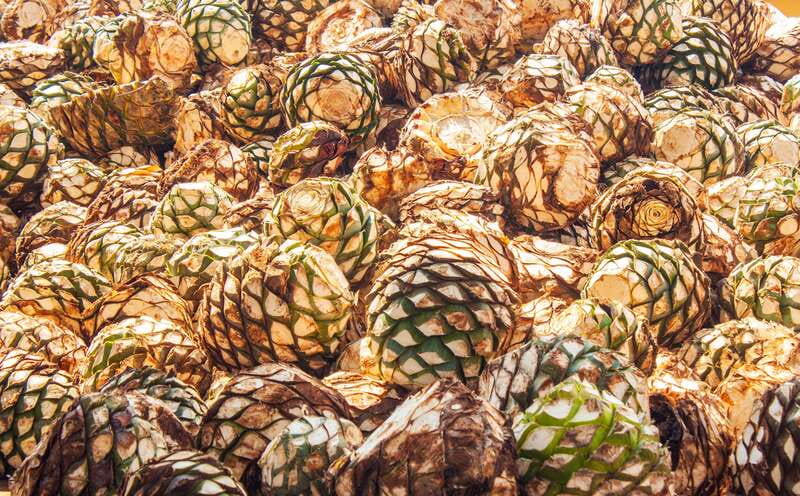 Guadalajara: Lake Chapala and Ajijic Day Trip with Boat Trip - What this $51 day trip actually gives you