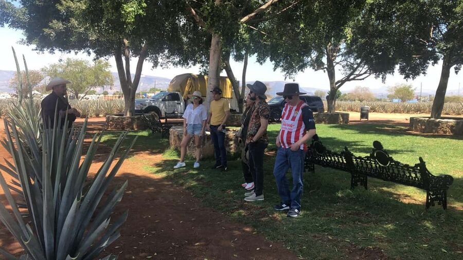 Guadalajara: Tequila Day Trip with Jose Cuervo Option - Tastings, lunch, and spending money