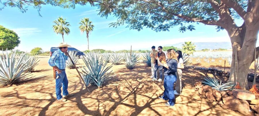 Guadalajara: Tequila Day Trip with Jose Cuervo Option - What the eight-hour schedule feels like