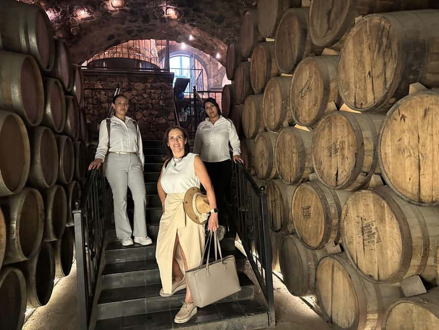 Guadalajara: Tequila Day Trip with Jose Cuervo Option - Who should book this experience