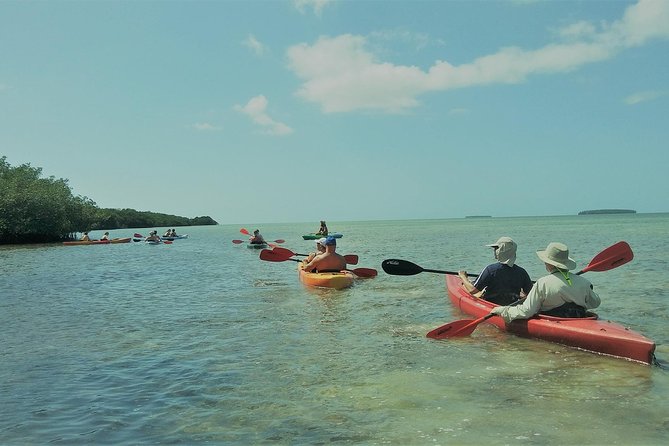 Half-Day Trip from Key West with Kayaking, Snorkeling & Sunset - Sailing out of Key West Harbor