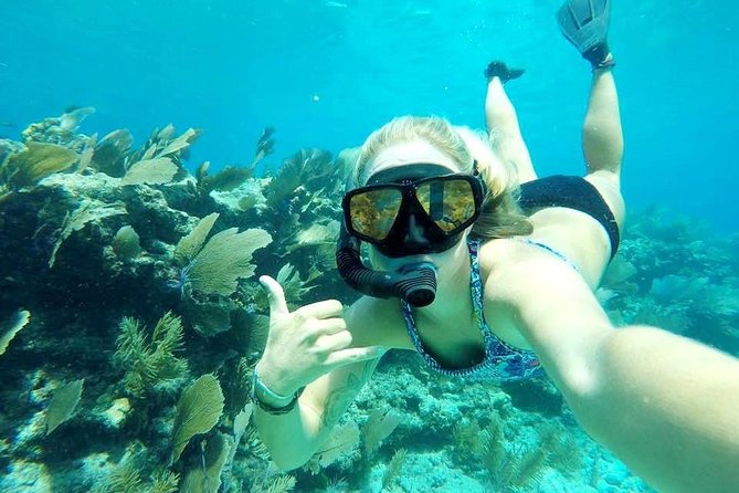 Half-Day Trip from Key West with Kayaking, Snorkeling & Sunset - The afternoon sunset option