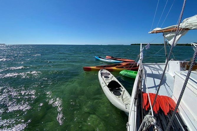 Half-Day Trip from Key West with Kayaking, Snorkeling & Sunset - Snorkeling above the Florida Keys reef