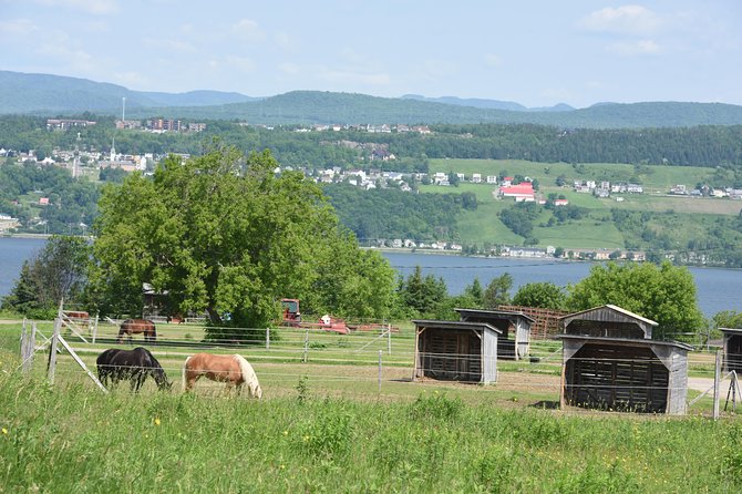 Half-Day Trip to Montmorency Falls and Ste-Anne-de-Beaupré from Quebec city - The copper museum adds a local craft story