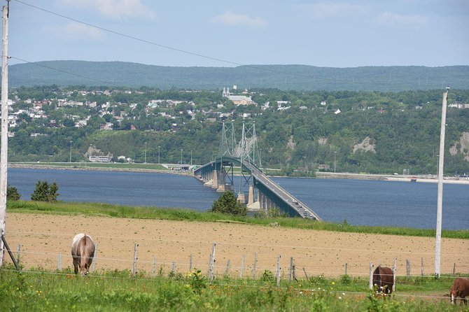 Half-Day Trip to Montmorency Falls and Ste-Anne-de-Beaupré from Quebec city - Who will get the most from this outing