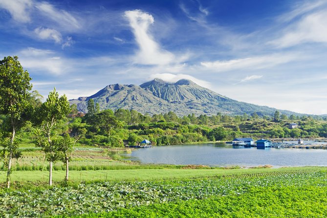 Highlights of Ubud & Mount Batur Volcano - Private Day Trip - What the $60 price really buys you