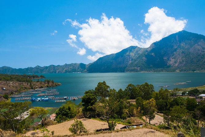 Highlights of Ubud & Mount Batur Volcano - Private Day Trip - Meeting macaques at the Sacred Monkey Forest
