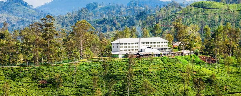 Hikkaduwa/Galle/Mirissa/Hiriketiya/Tangalle:Day Trip to ELLA - The train from Demodara to Ella has charm, with limits