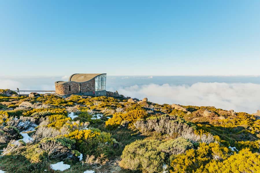 Hobart: Mt Wellington, Mt Field, Bonorong and Richmond Trip - Key points to know before booking