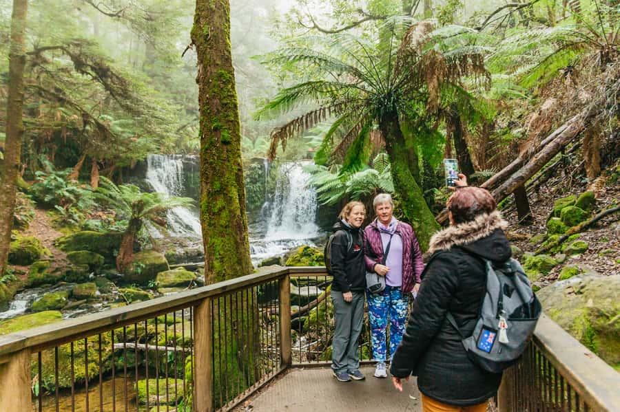 Hobart: Mt Wellington, Mt Field, Bonorong and Richmond Trip - Bonorong Wildlife Sanctuary: the best stop for animal lovers