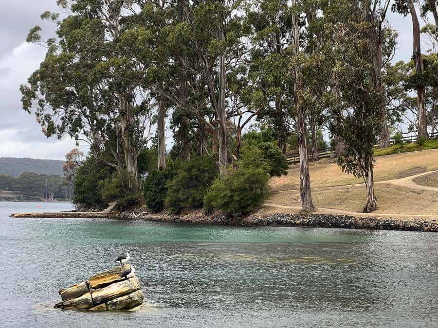 Hobart: Port Arthur & Tasman Park Full-Day Trip with Cruise - Remarkable Cave is a quick but memorable stop
