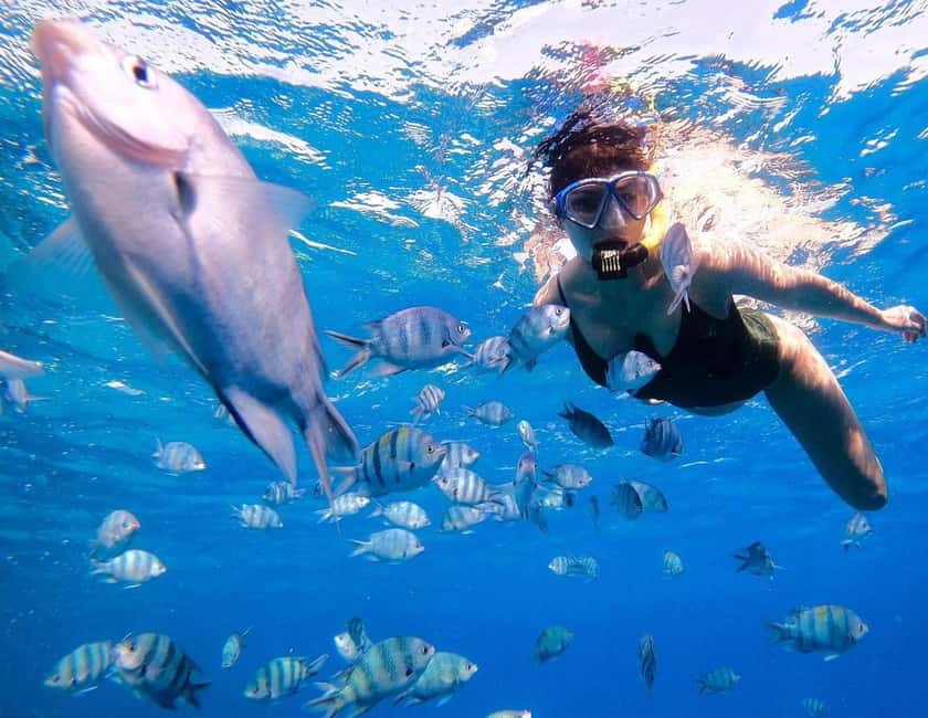 Hurghada:Eden Island Full-Day Trip with Water sports & Lunch - Snorkeling over Red Sea reefs