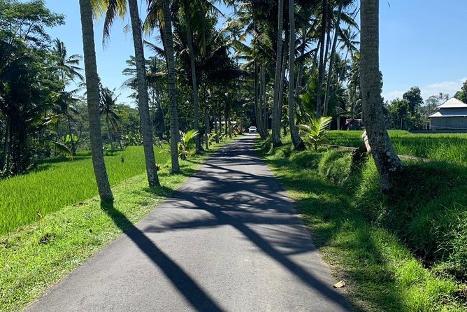 Individual Bali Day Trip with Private Driver and Free WiFi - Ubud: temples, rice fields, and a little jungle