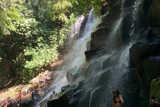 Individual Bali Day Trip with Private Driver and Free WiFi - North and Central Bali: cooler air and long road hours