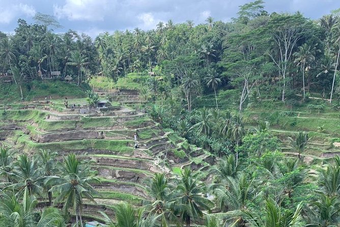 Individual Bali Day Trip with Private Driver and Free WiFi - East Bali: start before sunrise
