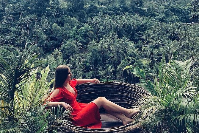 Individual Bali Day Trip with Private Driver and Free WiFi - Seminyak, Canggu, and Denpasar options