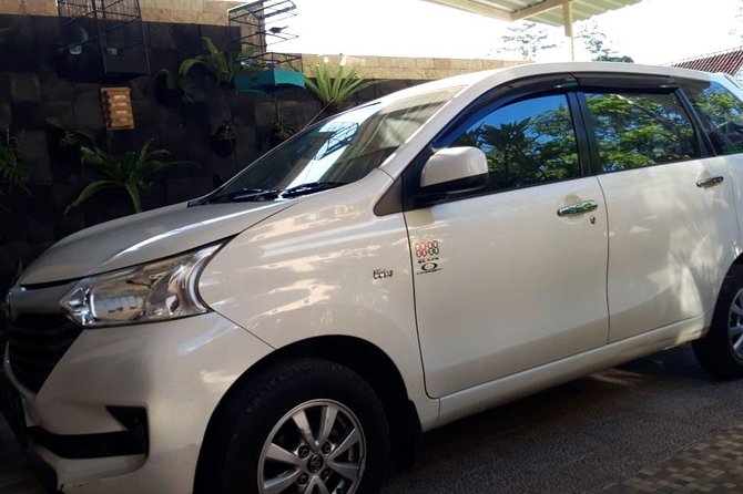 Individual Bali Day Trip with Private Driver and Free WiFi - The driver makes or breaks the experience