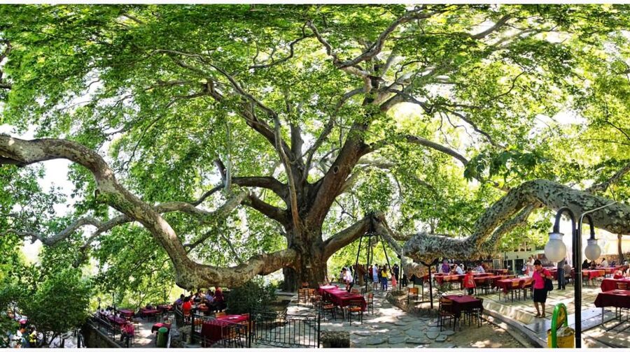 Istanbul: Bursa & Uludag Mountain Day Trip w/ Opt. Cable Car - Key points to know before you go