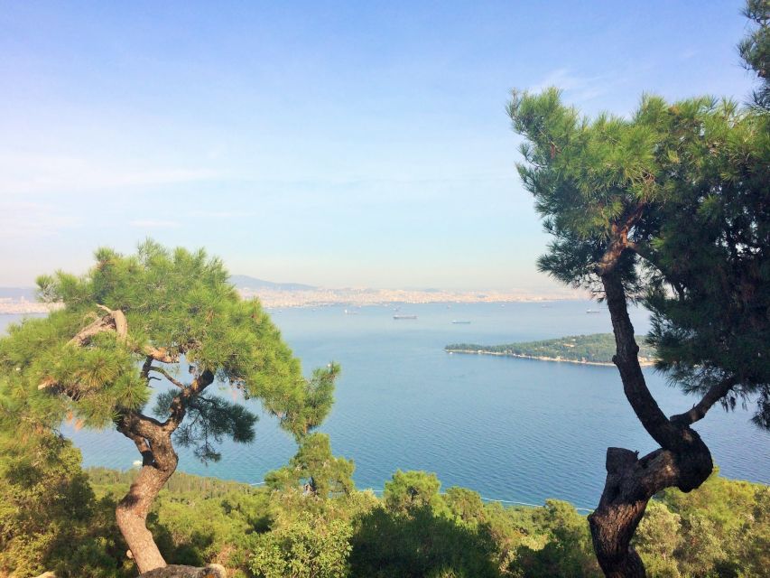 Istanbul: Day Trip to the Princes' Islands - Leaving Istanbul for the Marmara Sea