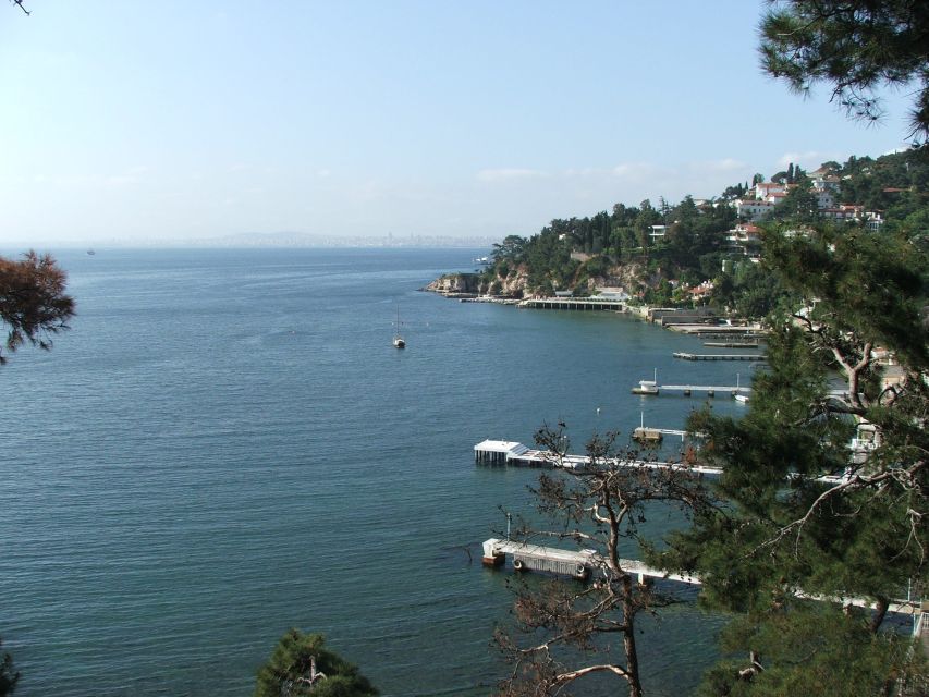 Istanbul: Day Trip to the Princes' Islands - A walking tour with an uncertain amount of guiding