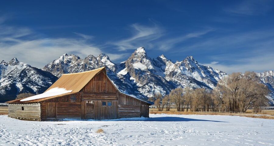 Jackson: Grand Teton and National Elk Refuge Winter Day Trip - Why winter is the right season for this outing
