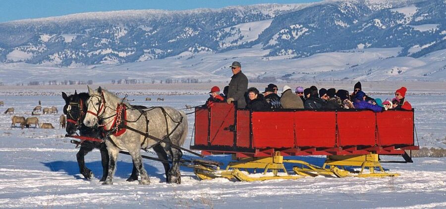 Jackson: Grand Teton and National Elk Refuge Winter Day Trip - Searching Grand Teton for winter wildlife