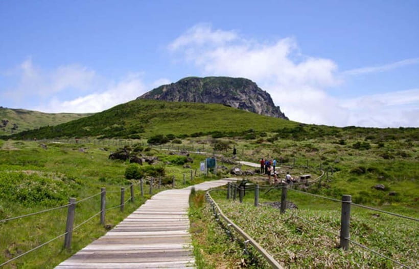 Jeju Highlight One day trip for Cruise Guests - Jusangjeolli and the geometry of volcanic rock