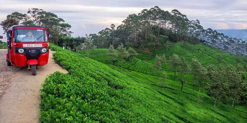 Kandy: Nuwara Eliya Day Trip - Ramboda Waterfall and the best hill-road views