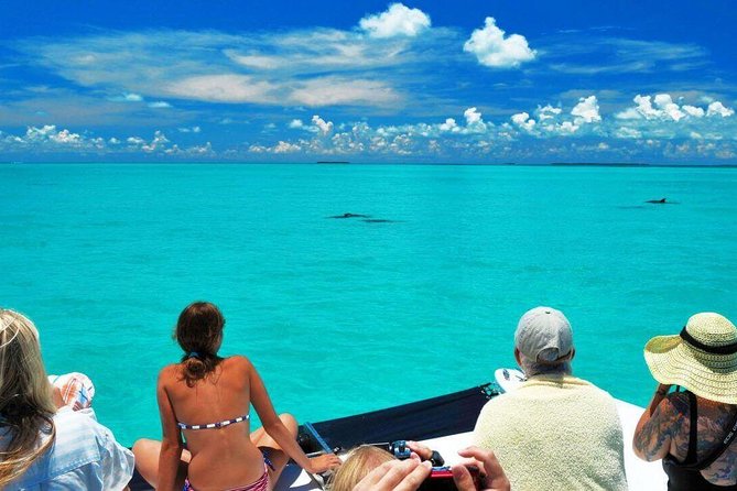 Key West Day Trip from Miami with Activities - The 15-hour road trip to the Florida Keys