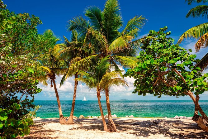 Key West Day Trip from Miami with Activities - What the $39 price really covers