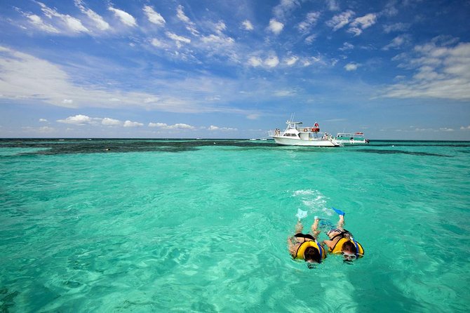 Key West Day Trip from Miami with Activities - Bus comfort, timing, and service quality
