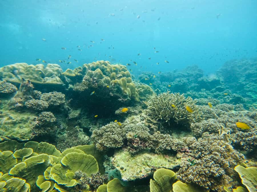 Khao Lak: Phi Phi & Bamboo Island Day Trip by Speedboat - Timing, comfort, and the real cost