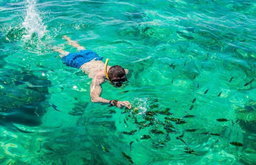 Khao Lak: Phi Phi Island, Maya Beach and Snorkeling Day Trip - Viking Cave and Phi Phi Don