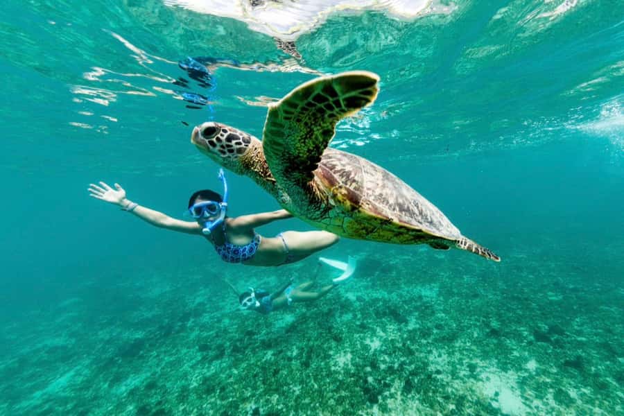 Khao Lak: Similan Islands Snorkeling Day Trip w/Meals - Collar Bay near Koh Bangu