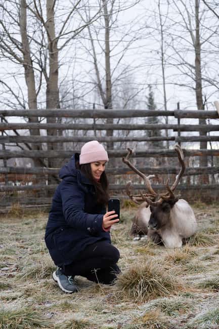 Kiruna: Icehotel and Sami Camp Day Trip - Key points to know before booking